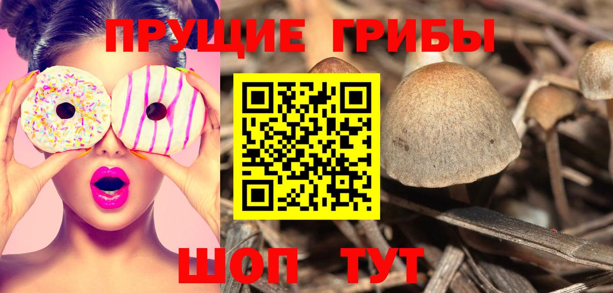 Симферополь  Псилоцибиновые грибы ЛСД  Вход с VPN 
